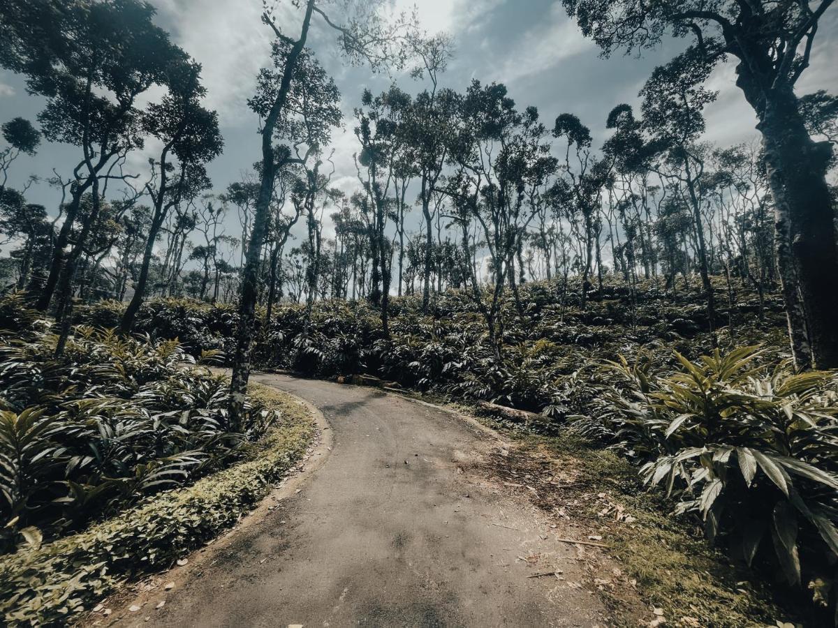 Mystic Mayapott, เทกคาดี ภายนอก รูปภาพ