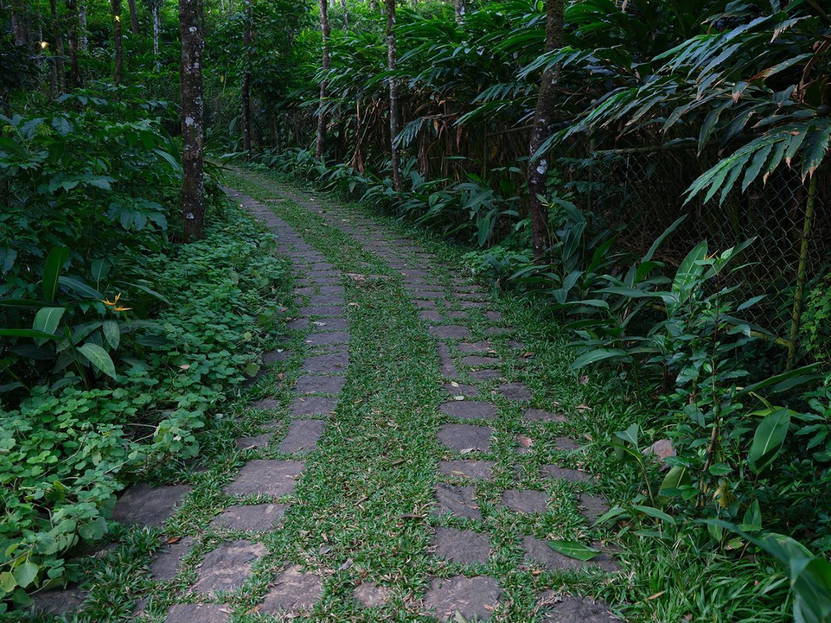 Mystic Mayapott, เทกคาดี ภายนอก รูปภาพ