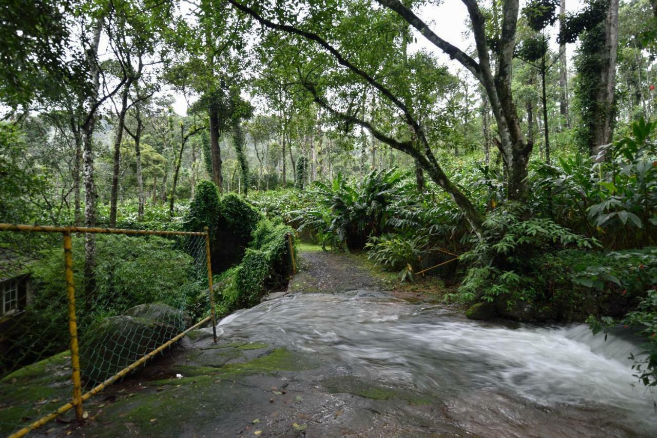 Mystic Mayapott, เทกคาดี ภายนอก รูปภาพ